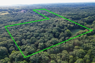 0 Joe Buck unit 24562142, Dittmer, MO 63023 - photo 4