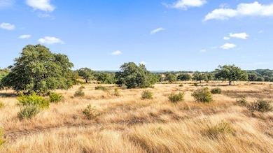 2482 Ranch To Market Road 2721, Johnson City, TX 78636 - photo 7