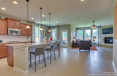 11227 Rock Daisy, Helotes, TX 78023 - photo 4