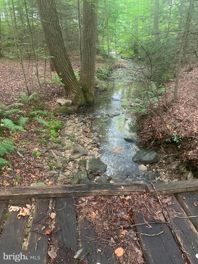 215 Forest Rd, Shippensburg, PA 17257 - photo 5