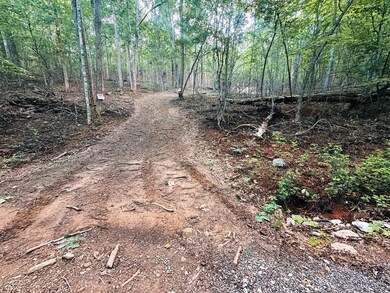 drive carved in