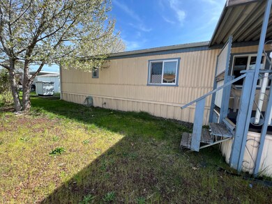 Side yard