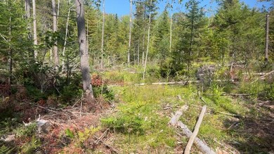 TBD Wakefield Rd, Newfield, ME 04095 - photo 4
