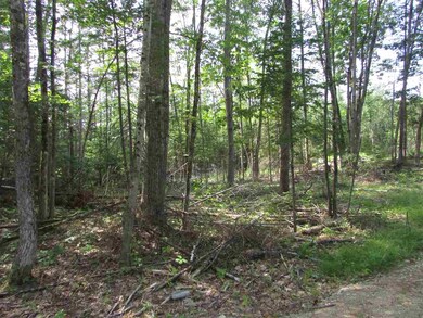 122 Sodom Rd, Center Tuftonboro, NH 03816 - photo 4