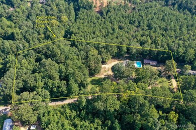 111 Rogers Rd, Pine Hill, AL 36769 - photo 4