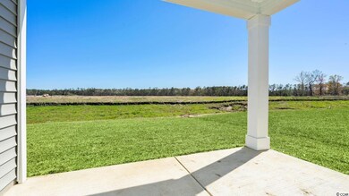 384 Spruce Pine Way unit Lot 210- Cali A, Conway, SC 29526 - photo 3