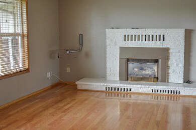 Gas fireplace in Living Room