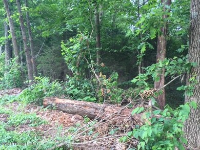 Lot 1 Brookdale Rd, Mount Washington, KY 40047 - photo 3