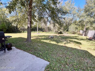 106 Blueberry Fields Rd, Maple Hill, NC 28454 - photo 4