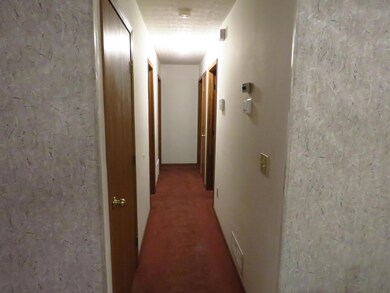 IMG_0262