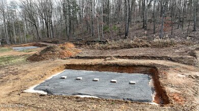 0 Lot 2 County Road 181, Decatur, TN 37322 - photo 4