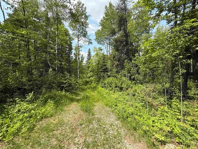 View of wooded area