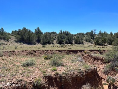 293 Old Deputy Shortline, Ash Fork, AZ 86320 - photo 4