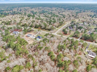 6810 W Bluff Dr, Magnolia, TX 77354 - photo 2