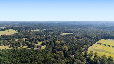 TBD Old Israel Rd, Livingston, TX 77351 - photo 2