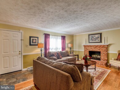 832 Appleseed Ct, Winchester, VA 22601 - photo 5