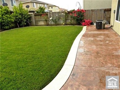 Backyard - Wide View