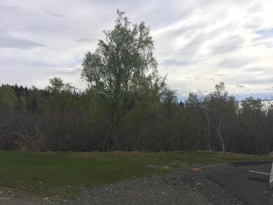 L4 B2 Potter Valley Rd, Anchorage, AK 99516 - photo 3