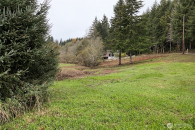 763 Geissler Rd, Montesano, WA 98563 - photo 3