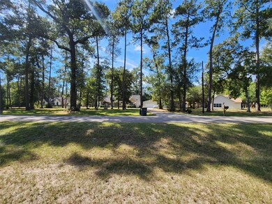 LOT 108 Sundew Ct, Magnolia, TX 77355 - photo 6