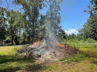 4446 Char-Augusta Rd, Bamberg, SC 29003 - photo 6