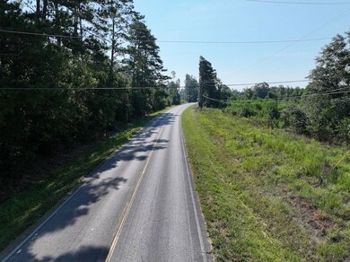 0 Hwy 1045 Hwy unit LotWP003 24553811, Amite, LA 70422 - photo 3