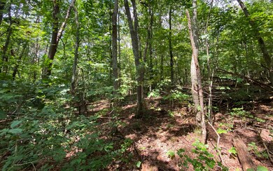 Additional View