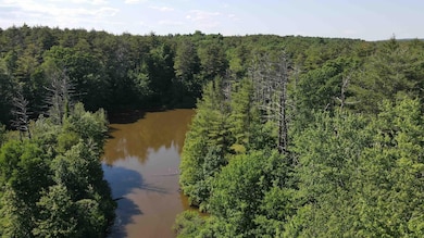 0 Eagle Nest Rd, Coxsackie, NY 12058 - photo 3