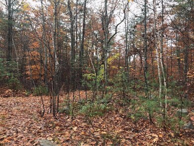 29 Chimera Hill Rd, Windham, ME 04062 - photo 4