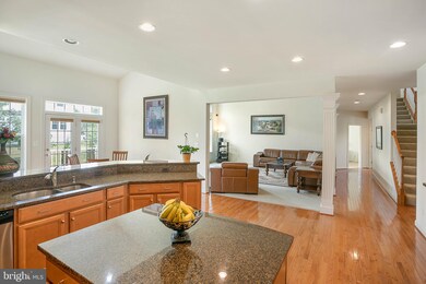 42229 Palm Cove Ct, Chantilly, VA 20152 - photo 6