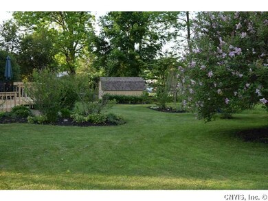 Backyard.