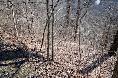 24 Lochmoor Ln, Waynesville, NC 28785 - photo 3