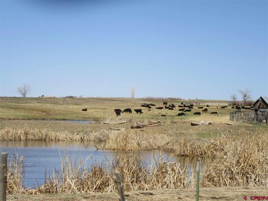 TBD Road L (114 26 Ac), Cortez, CO 81321 - photo 4