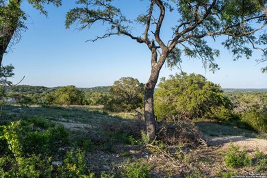 10415 Doherty Springs, San Antonio, TX 78255 - photo 4