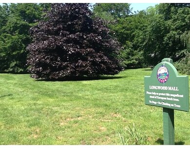 21 Borland St, Brookline, MA 02446 - photo 2