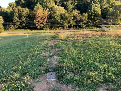 243354547_4290216821067682_6483754556213