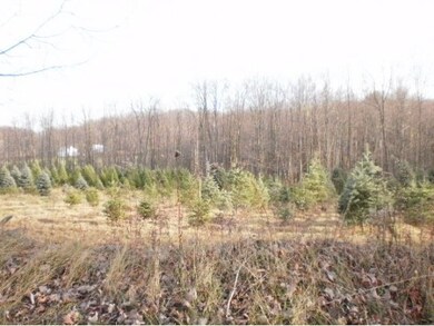 unlisted-address, Montrose, PA 18801 - photo 4