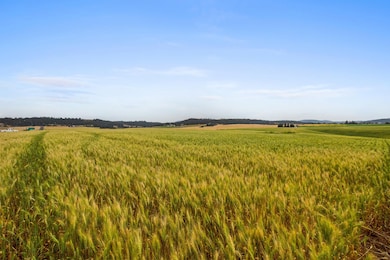 NKA N Bruce Rd unit Lot 3, Mead, WA 99021 - photo 3