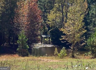 Pond on property