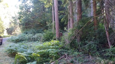 12106 Sound Dr, Anderson Island, WA 98303 - photo 2