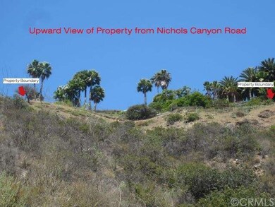 Upward looking southerly view of property from Nic