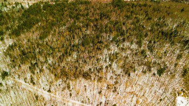 0000 Northey Hill Rd unit Lot 8B - 110.7 acres, Lisbon, NH 03585 - photo 3