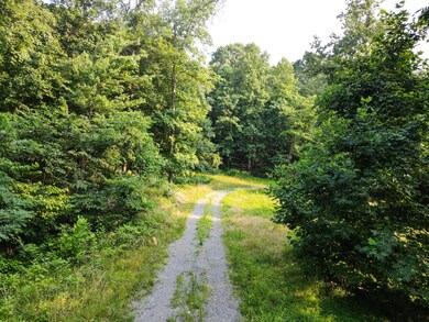 Botts Hollow-0587