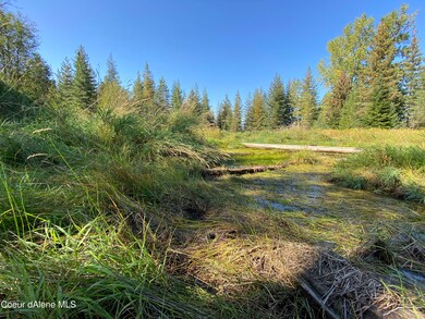 IMG_6669