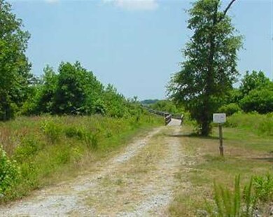 205 Royal Palms Way, Holly Ridge, NC 28445 - photo 4