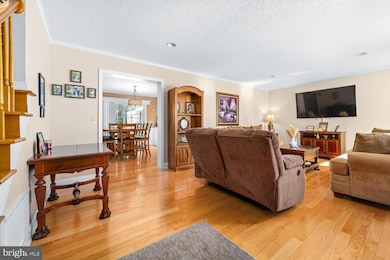 417 Talbot Ave, Cambridge, MD 21613 - photo 5