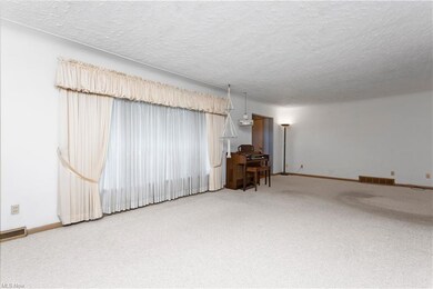 Super Large Living Room.