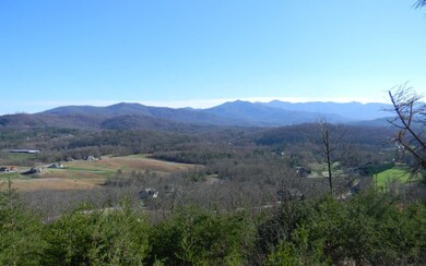 Additional View