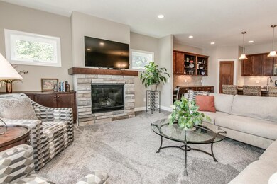 Stone gas fireplace and built in shelf in main lev