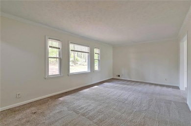 Carpeted spare room with baseboards, crown molding, and a textured ceiling